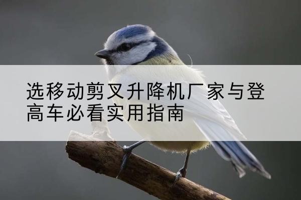 兴宾电动升降机厂家-选移动剪叉升降机厂家与登高车必看实用指南