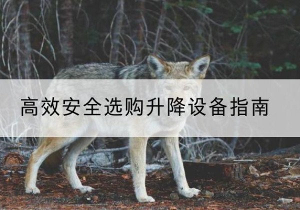 兴宾升降货梯厂家推荐-*安全选购升降设备指南