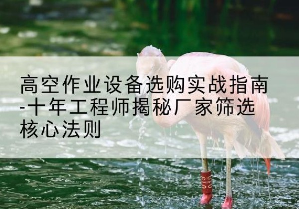 兴宾剪叉式升降机厂家-高空作业设备选购实战指南-十年工程师揭秘厂家筛选核心法则